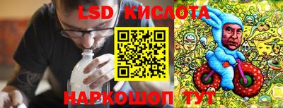 прущие грибы Гатчина