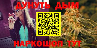 прущие грибы Гатчина