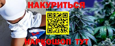 прущие грибы Гатчина