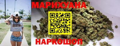 прущие грибы Гатчина