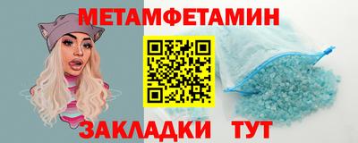 прущие грибы Гатчина
