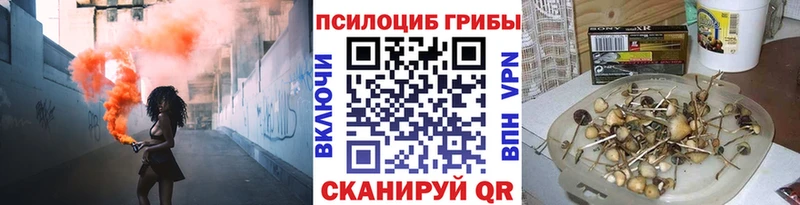 MEGA ONION Кострома Галлюциногенные грибы мицелий